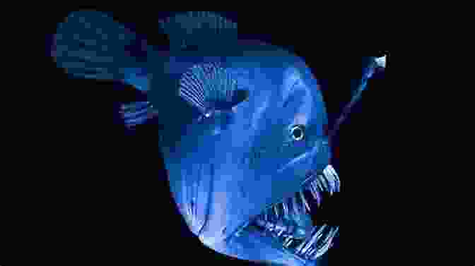 A Captivating Image Of A Bioluminescent Anglerfish In The Depths Of The Ocean, As Featured In 'The Simmering Seas Beyond The Impossible.' The Simmering Seas (Beyond The Impossible 1)