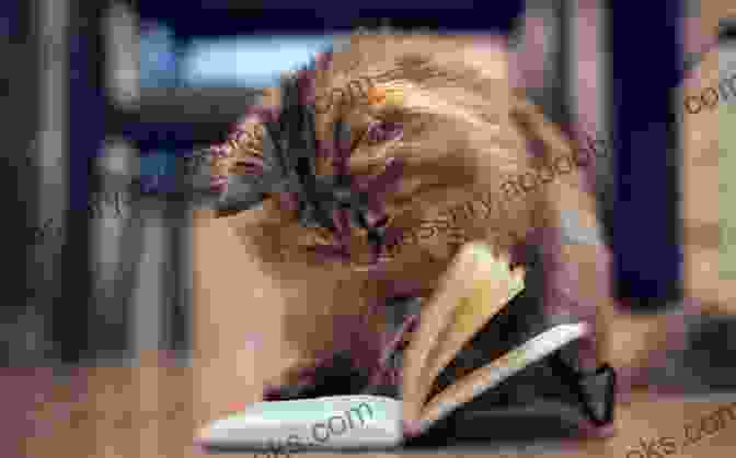 A Cat Reading A Book Who Moved My Mouse?: A Self Help For Cats (Who Don T Need Any Help)