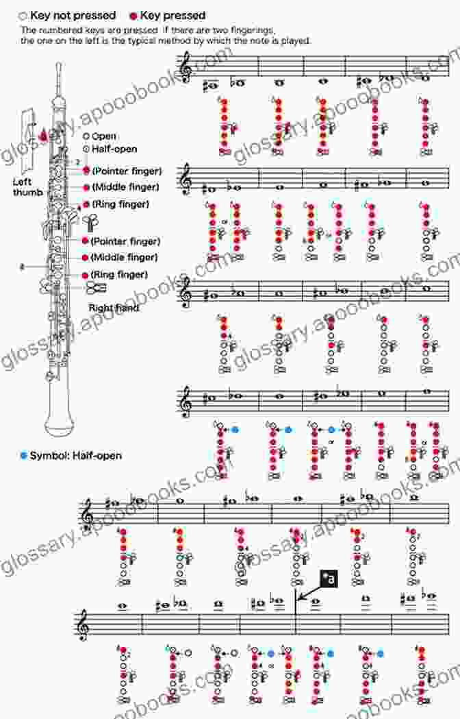 A Close Up Of An Oboe Fingering Chart, Displaying The Positions Of The Fingers On The Instrument The Art Of Oboe Playing (The Art Of Series)