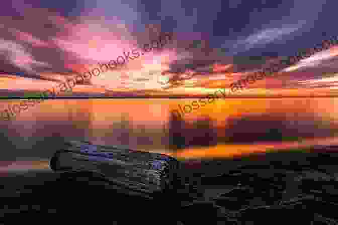 A Mesmerizing Sunrise Over A Tranquil Coastal Scene Sunrise On The Coast: The Perfect Feel Good Holiday Romance (Island Romance 1)