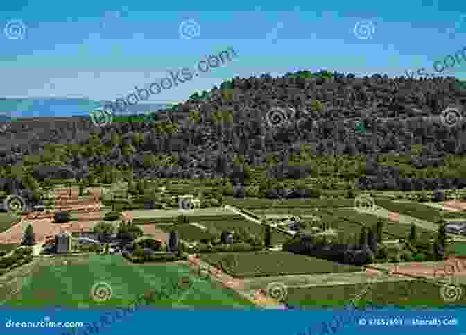 A Panoramic View Of The Rolling Hills Of Provence, The Backdrop For The Timeless Stories Of 'From The Listening Hills' From The Listening Hills: Stories (L Amour Louis)