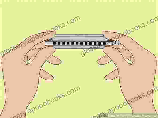 Chromatic Harmonica Anatomy How To Play The Chromatic Harmonica