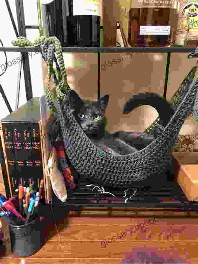 Comfortable Crochet Cat Hammock With Fringe Crochet Cats: 10 Adorable Projects For Cat Lovers (Crochet Kits)