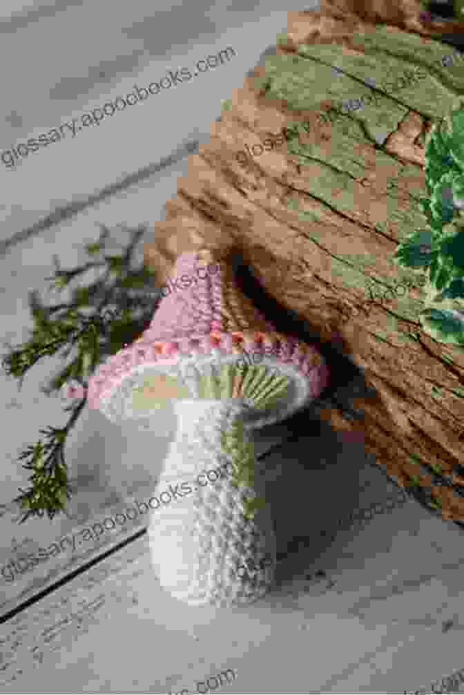 Crochet Pattern Of An Enchanting Woodland Mushroom Crochet Food 35 Crochet Patterns Of Fruits And Vegetables