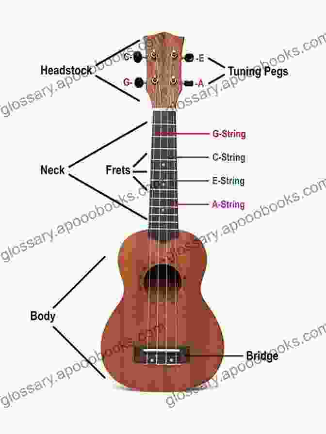 Diagram Of Ukulele Parts Ukulele For Beginners In Easy Steps