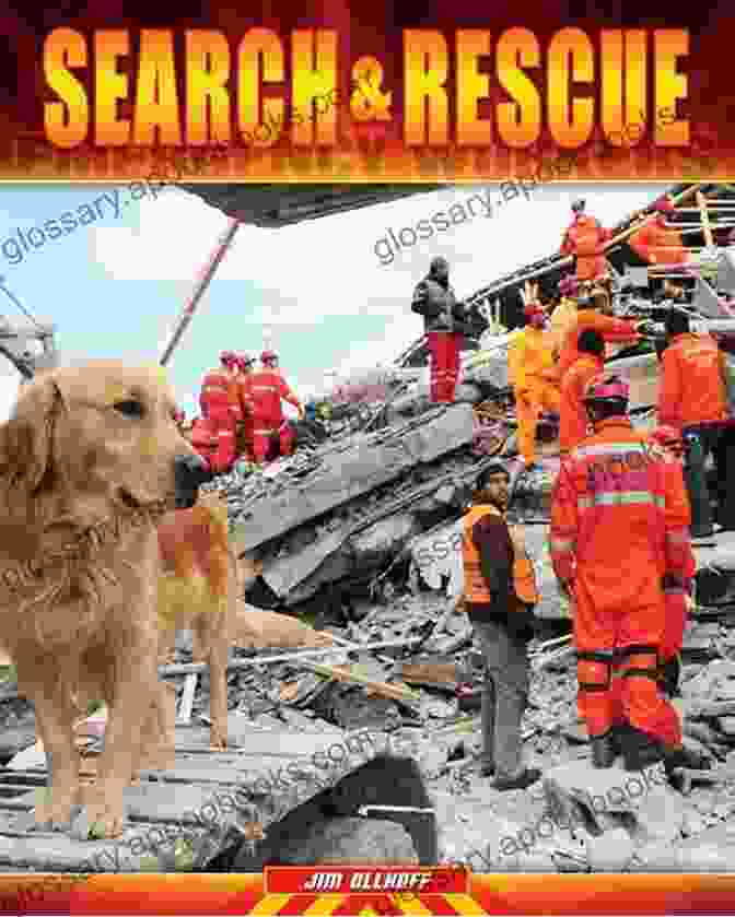 Following The Trail: Search And Rescue Book Cover Following The Trail (K 9 Search And Rescue 5)