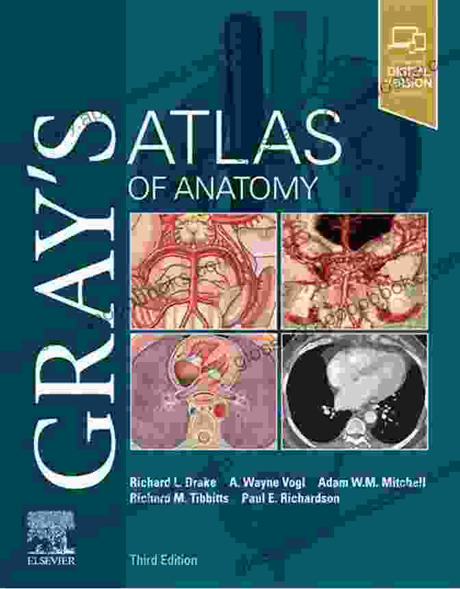 Gray's Atlas Of Anatomy: The Ultimate Visual Guide To Human Anatomy Gray S Atlas Of Anatomy (Gray S Anatomy)