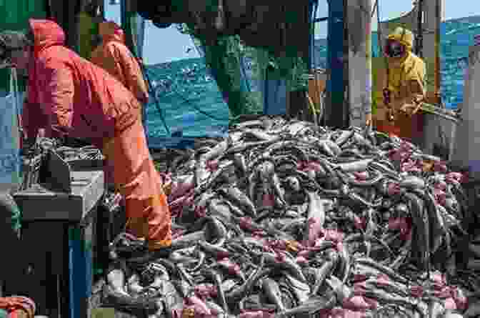 Image Of Overfished Ocean Waters Globalization: Effects On Fisheries Resources