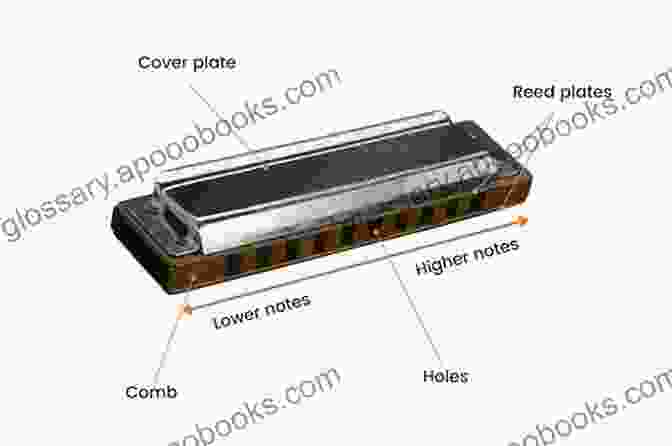 In Depth Exploration Of Harmonica Structure How To Play Harmonica For Kids