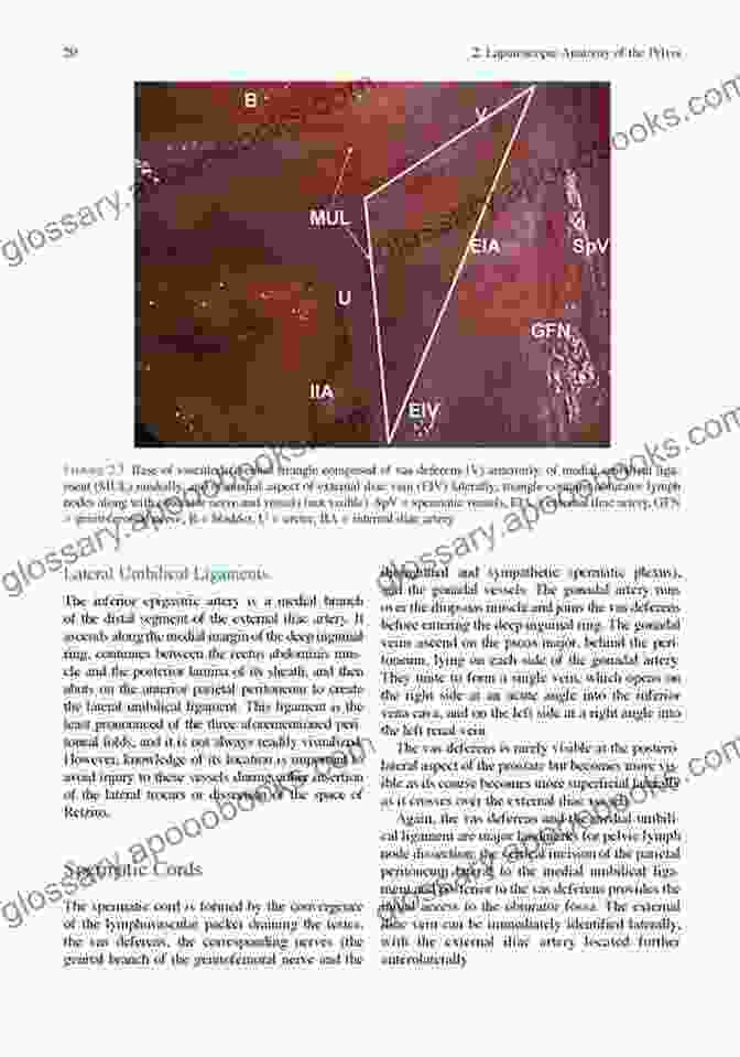 Laparoscopic Techniques In Uro Oncology By Dhiresh Kumar Maharjan Laparoscopic Techniques In Uro Oncology Dhiresh Kumar Maharjan