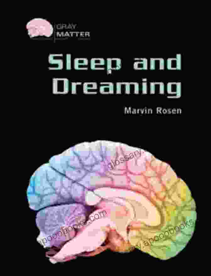 Sleep And Dreaming Gray Matter Book Cover Sleep And Dreaming (Gray Matter)