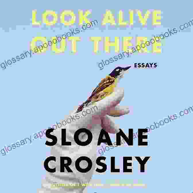 Sloane Crosley Book Cover Cult Classic: A Novel Sloane Crosley