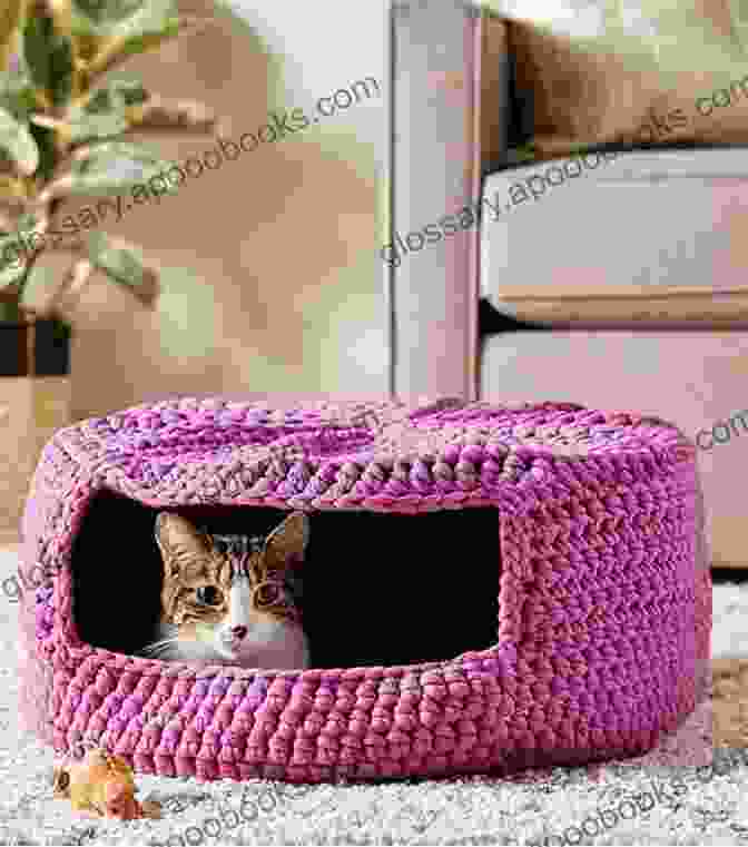 Soft Crochet Cat Bed With Raised Sides And Plush Cushion Crochet Cats: 10 Adorable Projects For Cat Lovers (Crochet Kits)