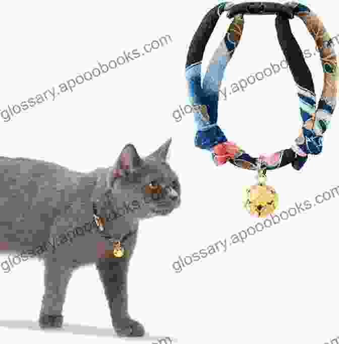 Stylish Crochet Cat Collar With Bell And Charm Crochet Cats: 10 Adorable Projects For Cat Lovers (Crochet Kits)