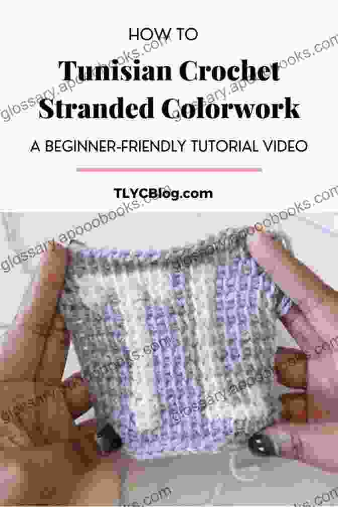 Tunisian Crochet Color Work TUNISIAN CROCHET BEGINNER S GUIDE: An Excellent To Tunisian Crochet And An Easy Guide For You To Master Tunisian Crochet With Beautiful Patterns