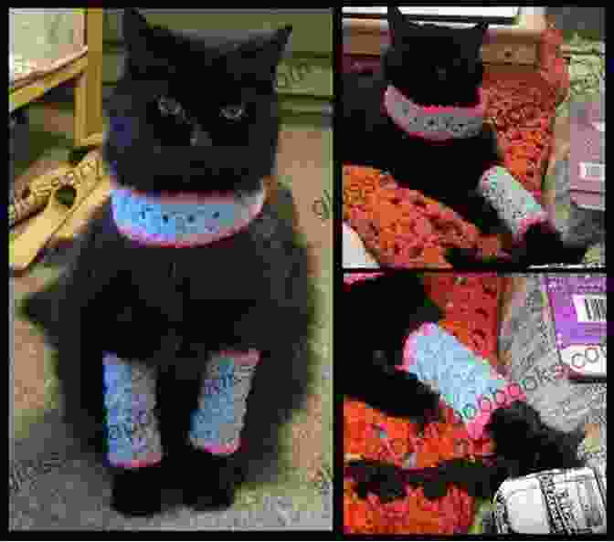 Warm Crochet Cat Sweater With Hood And Leg Warmers Crochet Cats: 10 Adorable Projects For Cat Lovers (Crochet Kits)