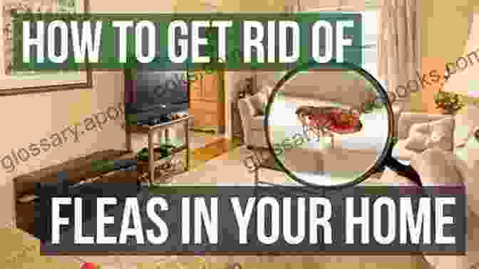 Washing Linens For Flea Control MITES GOODBYE: The Beginners Step By Step Guide On How To Eliminate And Get Rid Of Fleas Bird Mites Dust Mites Clover Mites And Red Spider Mites