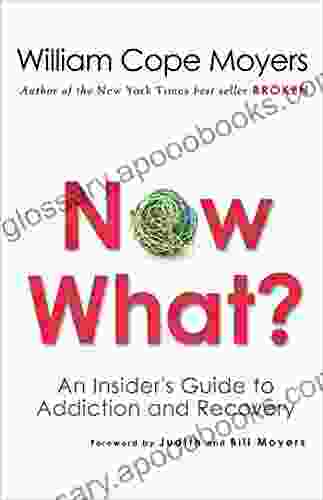 Now What?: An Insider s Guide to Addiction and Recovery