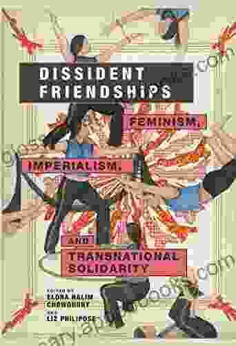 Dissident Friendships: Feminism Imperialism And Transnational Solidarity (Dissident Feminisms)