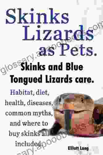 Skinks as Pets Blue Tongued Skinks and other skinks care facts and information Habitat diet health common myths diseases and where to buy skinks all included