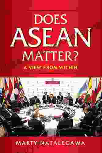 Does ASEAN Matter?: A View From Within