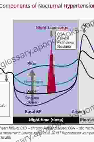 Essential Manual Of 24 Hour Blood Pressure Management: From Morning To Nocturnal Hypertension