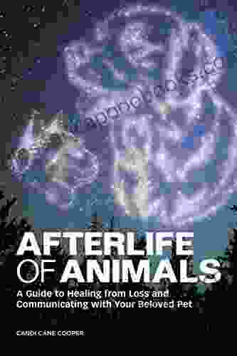 Afterlife Of Animals: A Guide To Healing From Loss And Communicating With Your Beloved Pet