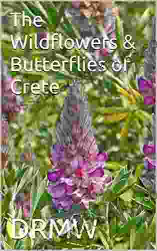 The Wildflowers Butterflies Of Crete