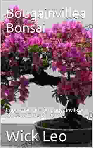 Bougainvillea Bonsai: Important Hint On Bougainvillea Bonsai And Its Guidelines