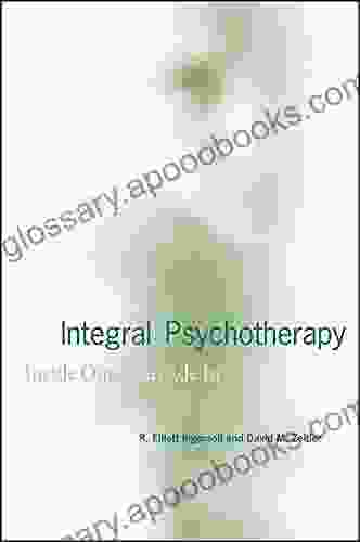 Integral Psychotherapy: Inside Out/Outside In (SUNY In Integral Theory)