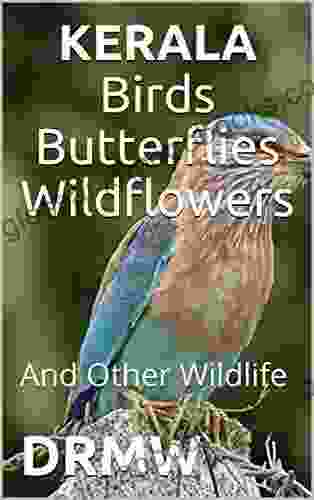 KERALA Birds Butterflies Wildflowers: And Other Wildlife