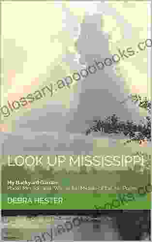 My Backyard Garden Look Up Mississippi: Photo Memoir and Way In the Middle of the Air Poem