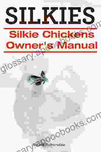 SILKIES Silkie Chickens Or Silkies Owner S Manual