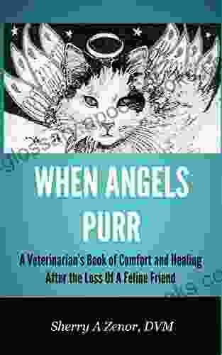 When Angels Purr: A Veterinarian S Of Comfort And Healing After The Loss Of A Feline Friend